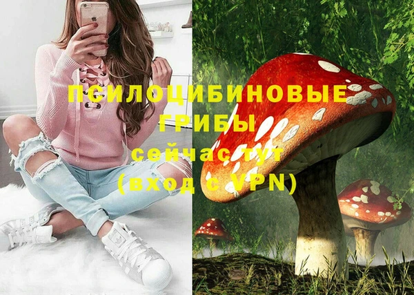 ECSTASY Баксан