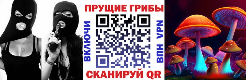 МЕГА   Нерчинск  Псилоцибиновые грибы Magic Shrooms 